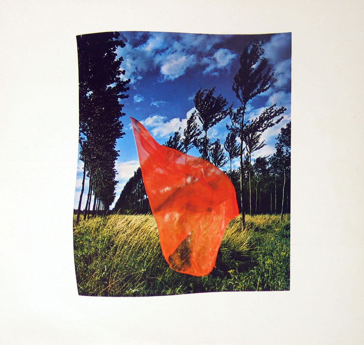 High Resolution Photo #4 PINK FLOYD Wish You Were Spain 